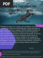 Animais Marinhos em Risco de Extinção