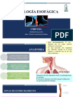 Patología Esofágica
