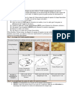 Activité 5-Étude Morphoscopique