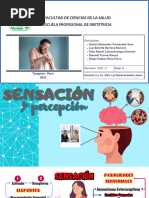 Sensación y Percepción Obstetricia ( (Delegado-Daniel Alexander Fernandez Vera)