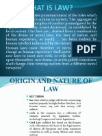 What Is Law PPT and Philosophy of Lawpptx