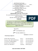 Memoire de Fin D'Etude