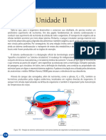 Enfermagem Nursing Modulos