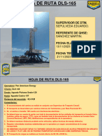 2023-11-14 Hoja de Ruta DLS-165