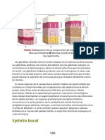 Ten Cate Oral Histology Development Structure and Function 9th Edition (Konkur - In) 600 631.en - Es