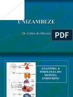 Aula de Sistema Endocrino