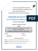 Memoire DMI