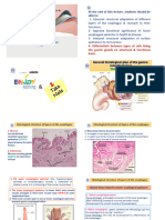 L 8 Histology of The Esophagus & Stomach