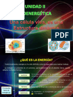 Bioenergetica Adaptada (Alumnos)