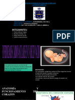 Enfermedades Cardiovasculares Del RN