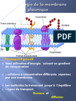 3 Physiologie de La MP