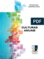 Culturas Anuais