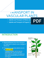 Chapter 11 - Transport in Vascular Plant