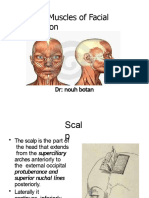 Botan's Scalp Muscles