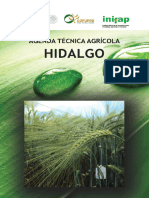 4131 4828 Agenda Técnica Hidalgo 2017