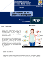 Biologia Tema 3 Las Enzimas Primer Lapso 2023 2024