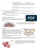 3 - Thyroid Metabolism-Ok