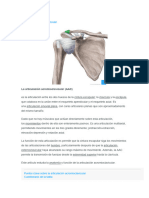 Articulación Acromioclavicular