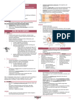 (PHYSIOOB) 2.2 Parturition