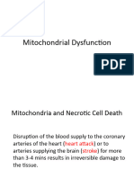 Mitochondrial Dysfunction