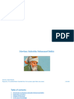 Mawlana's Monograph Slides