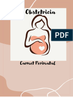 Carnet o Cartilla Perinatal