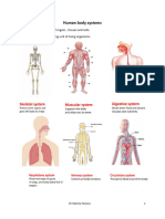 Human Body Systems