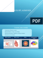 Toxoplasma Gondii