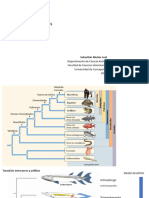 Anfibios - Zoologia 2023