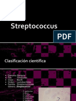 Streptococcus