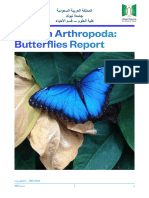 Butterfly Report