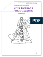 Taller de Limpieza y Protección Energetica