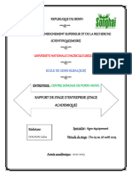 Rapport de Stage Songhai