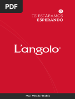 Langolomiradorbiobio