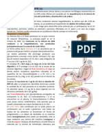 Anemias Megaloblasticas