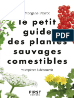 Plantes Comestibles