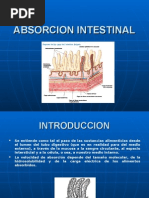 Absorcion Intestinal