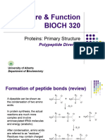 2.protein Primary Structure