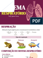 Sistema Respiratório