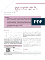 Musculocutaneous Nerve Substituting For The Distal Part of Radial Nerve: A Case Report and Its Embryological Basis