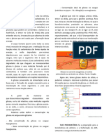 Glicolise e Ciclo de Krebs