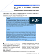 ENCEFALOCELE GIGANTE EN UN NEONATO, TRATAMIENTO QUIRURGICO. REPORTE DE CASO Spanish