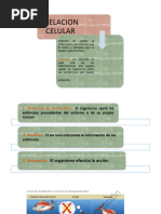 Clase Virtual 8vo Relacion Celular