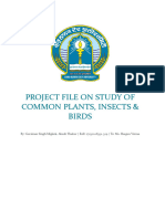 Project File On Study of Common Plants, Insects & Birds