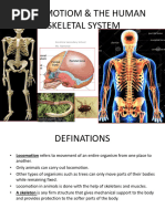 Locomotiom & The Human Skeletal System