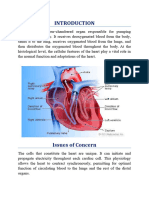 Human Heart