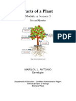 Sc3-Q2-Parts - of - Different - Kinds - of - Plants-By-Marilou-Antonio