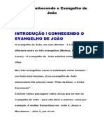 Introdução Livro Joao