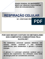 Aula 8 - Respiração Celular