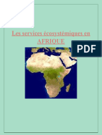 Les Services Ecosystemique en Afrique, Boubeguira Hiba A5